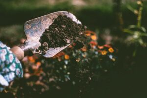 tuinonderhoud in Bleiswijk